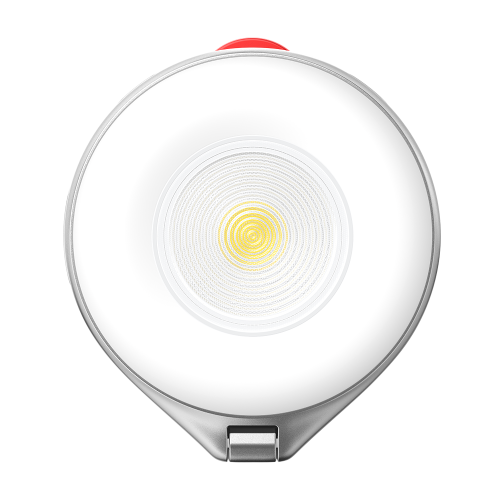 TELESIN 2 In 1 Magnetic Flashlight & Selfie Light