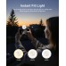 TELESIN 2 In 1 Magnetic Flashlight & Selfie Light